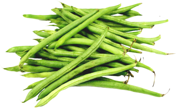 FINE/EXTRA FINE BEANS