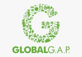 Global  G.A.P