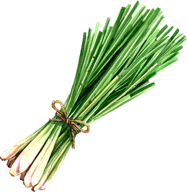 LEMON GRASS