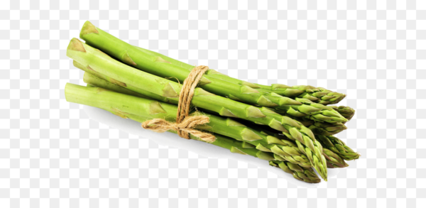 Garden asparagus